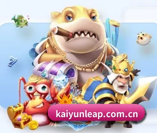 kaiyun的故事